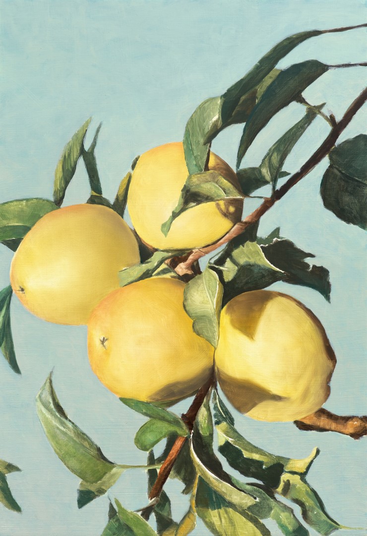 Helios' Apples (2021), 41 x 60 cm, oil panel (private collection)